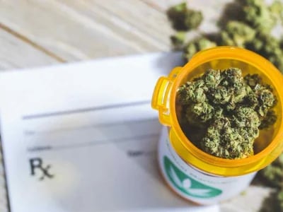 Understanding Buy Marijuana Online UK: History, Science, and Law