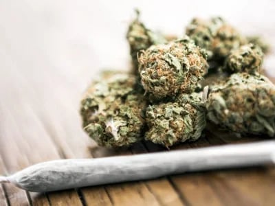 Legal Pre Rolled Joints for Sale Europe – Online THC & CBD Cannabis Store
