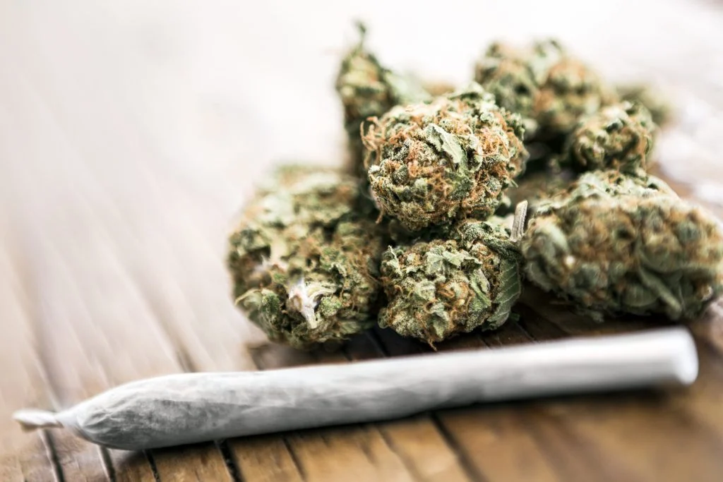 Legal Pre Rolled Joints for Sale Europe – Online THC & CBD Cannabis Store